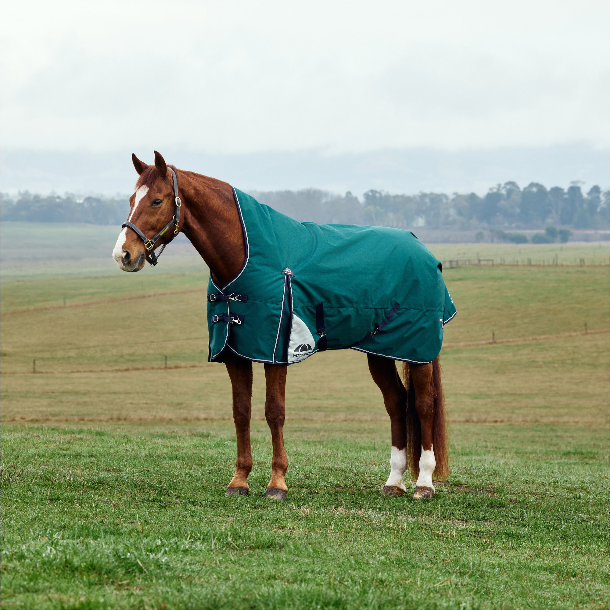 2025 Weatherbeeta Comfitec Plus Dynamic Turnout High Neck 1029006 - Forest Green
